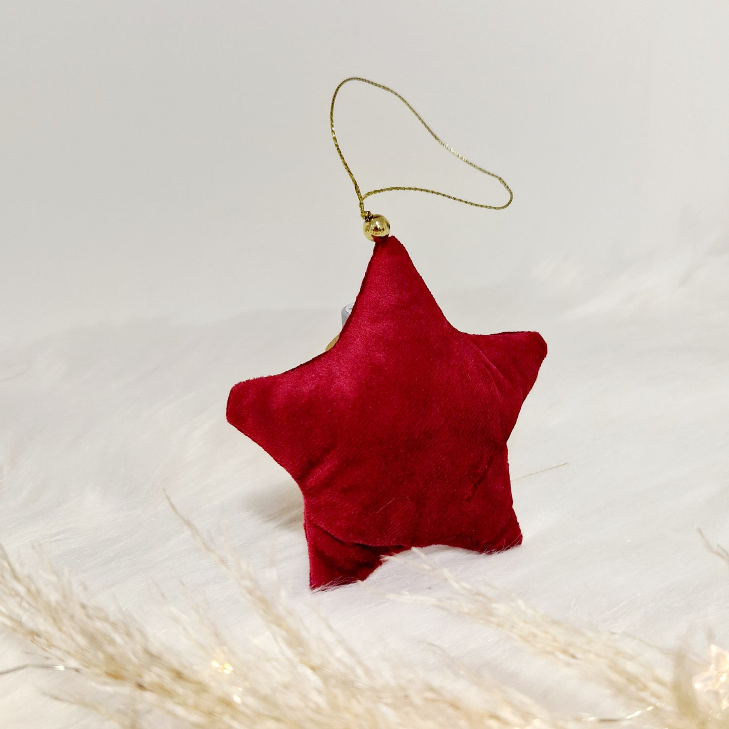 Etoile de noël uni