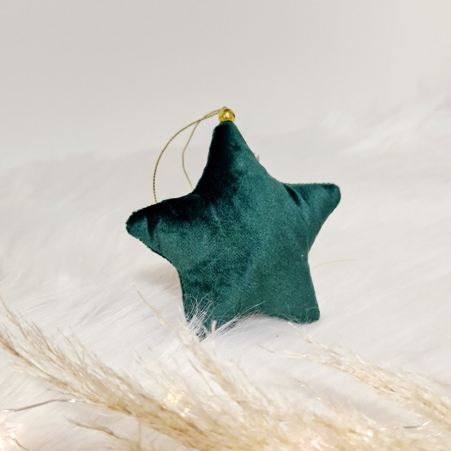 Etoile de noël uni