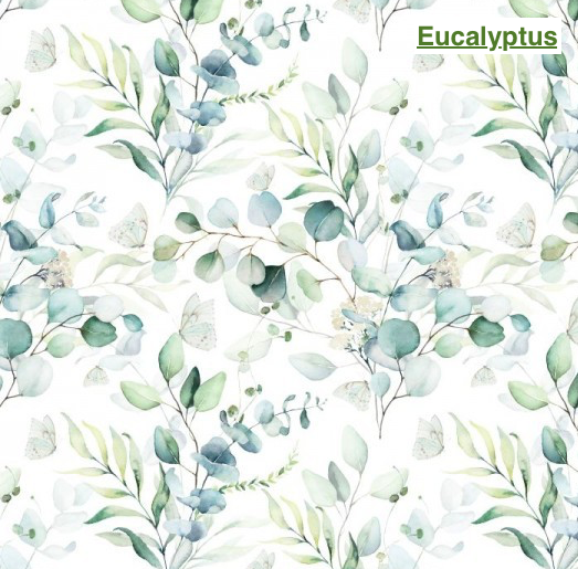 Bouillotte sèche Chouette