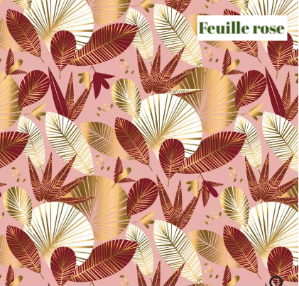 Pochette ordonnances