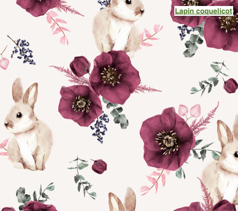 Lingettes lavables XL