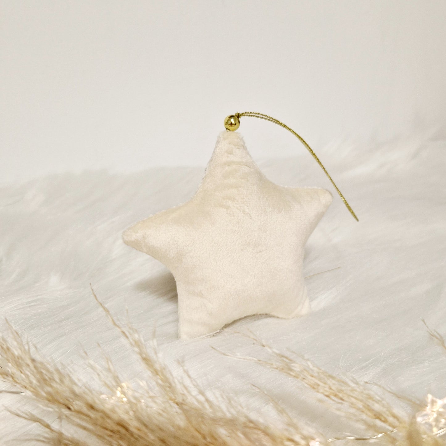 Etoile de noël uni