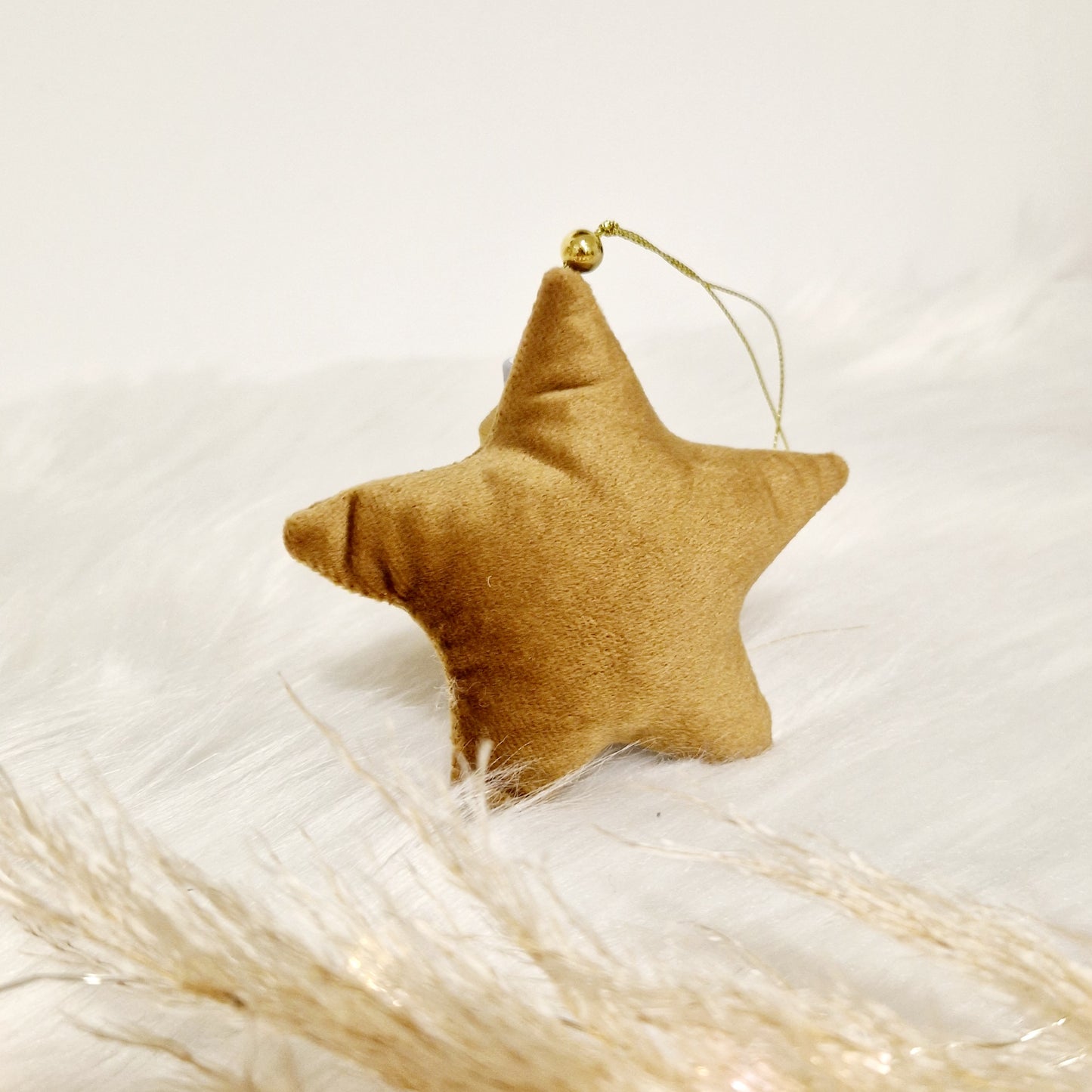 Etoile de noël uni