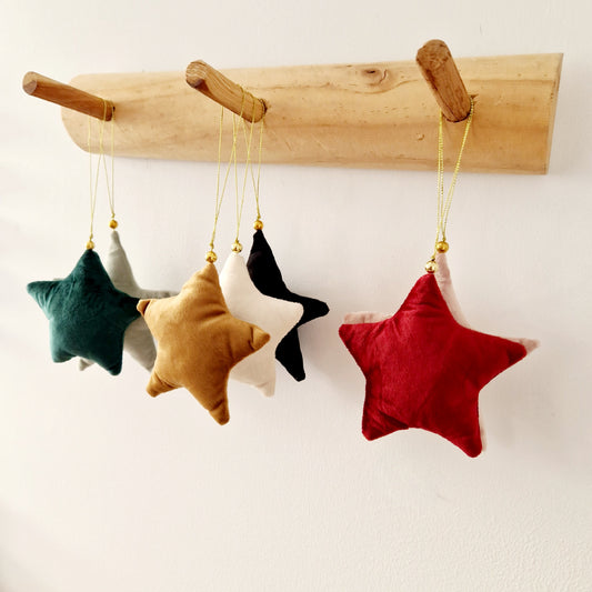 Etoile de noël uni