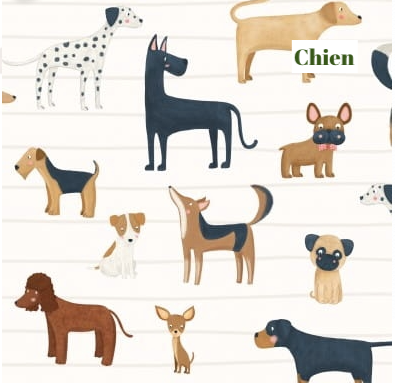 Protège carnet de santé personnalisé – Animaux de compagnie