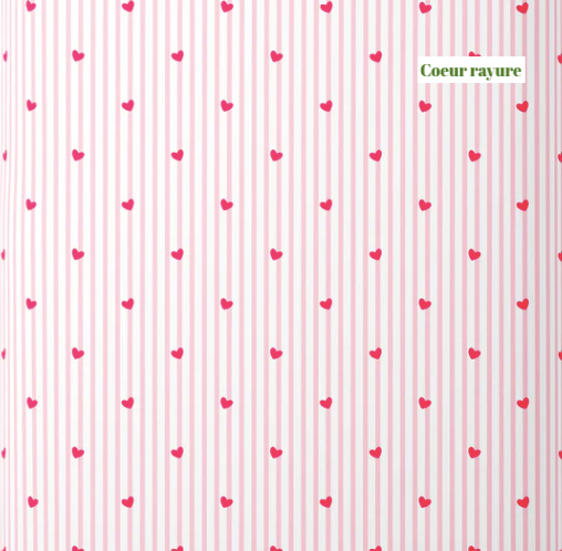 Protège Carnet de Santé Brodé : L'accessoire indispensable pour ton bébé