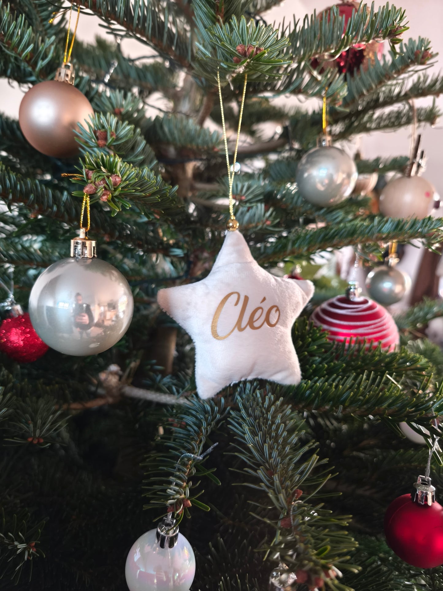 Etoile de noël uni