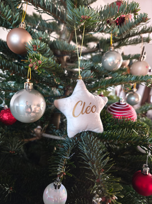 Etoile de noël uni