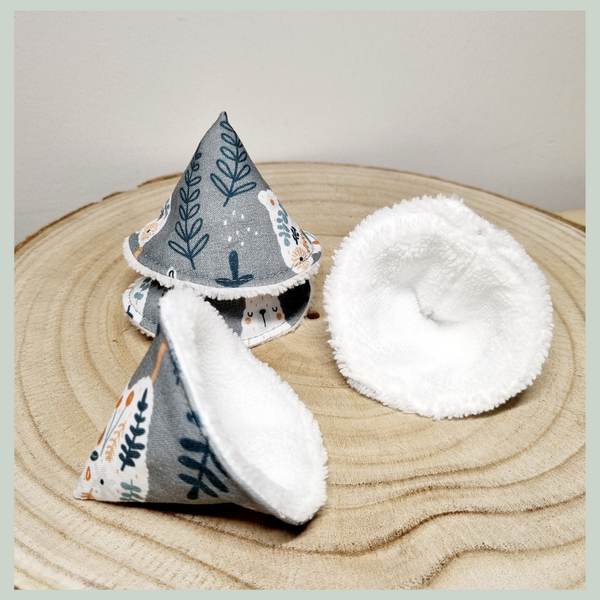 Tipis Pare-pipi